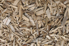 biomass boilers Althorne